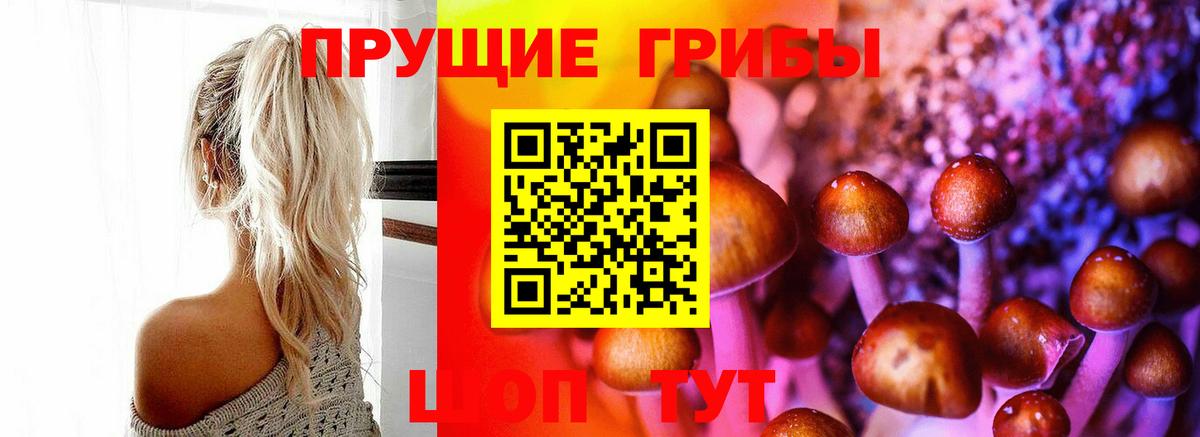 Галлюциногенные грибы Psilocybine cubensis  Вход с VPN  где можно купить наркотик  Обь  Псилоцибиновые грибы ЛСД 